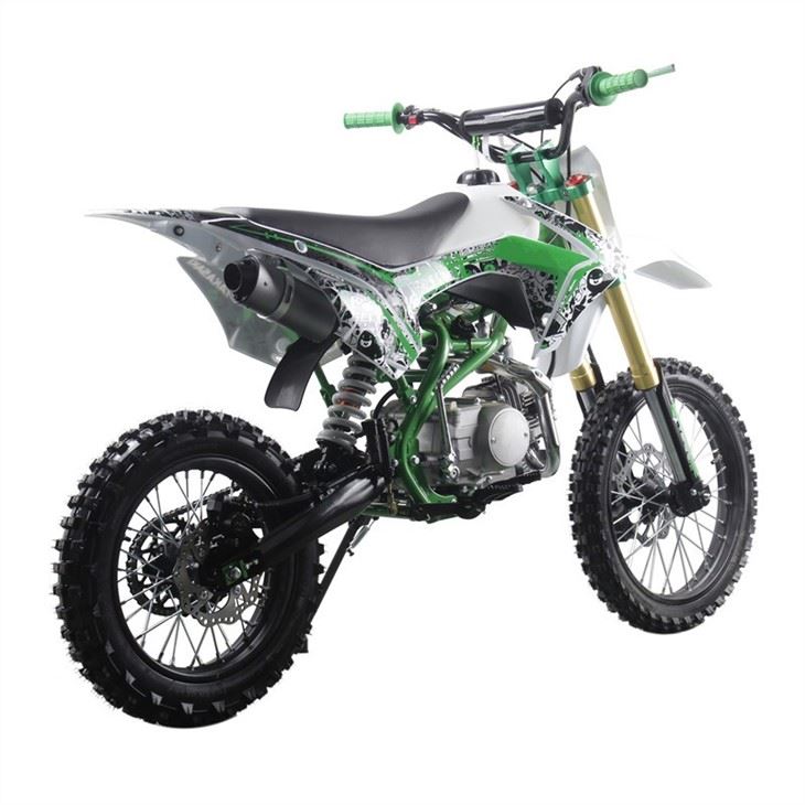 adult pit bike 4